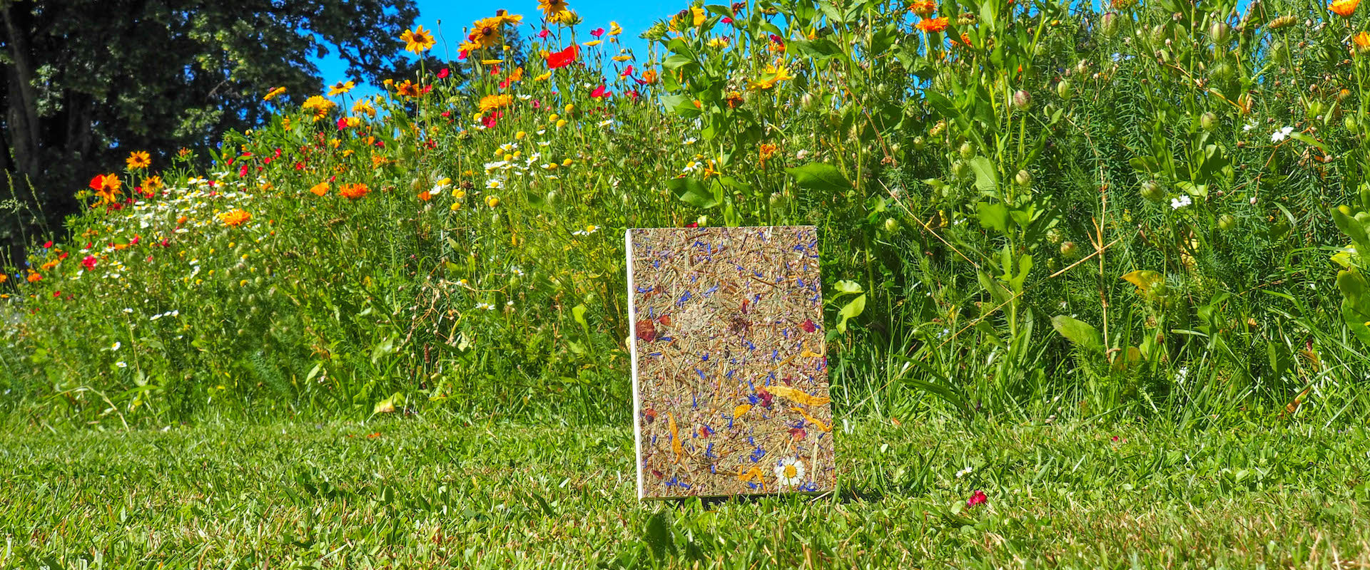 Notizbuch von Hand gebunden, im Park vom Schloss Oberdiessbach, Bergwiese mit Marguerite