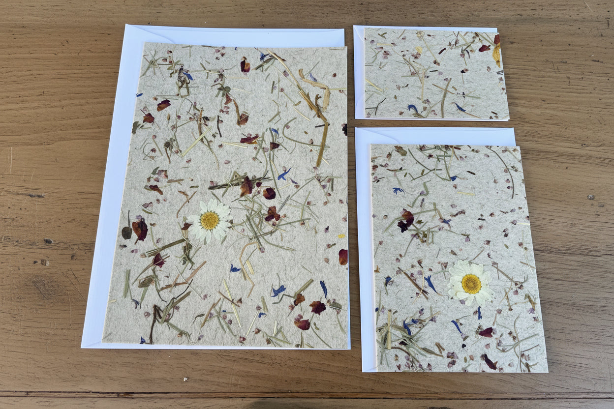 Grusskarten mit Kuvert A5, A6, A7 aus Naturmaterialien von Organoids Design Almwiese Ligght mit Marguerite