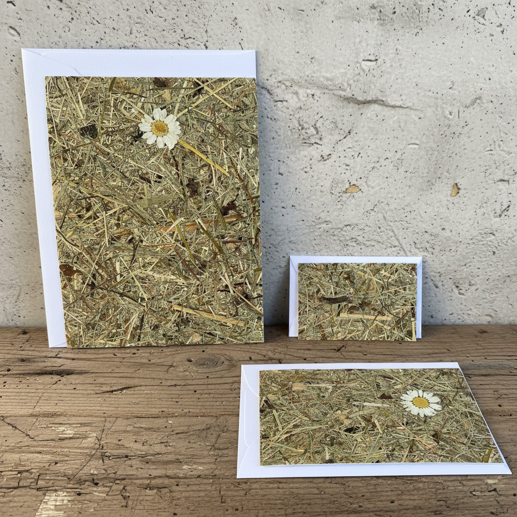 Grusskarten mit Kuvert A5, A6, A7 aus Naturmaterialien von Organoids Design Wiödspitze