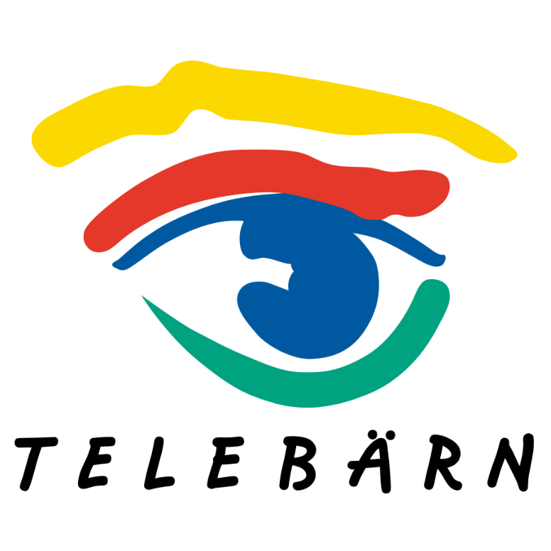 Logo von Tele Bärn mit Beitrag zu den Osterbrunnen Oberdiessbach