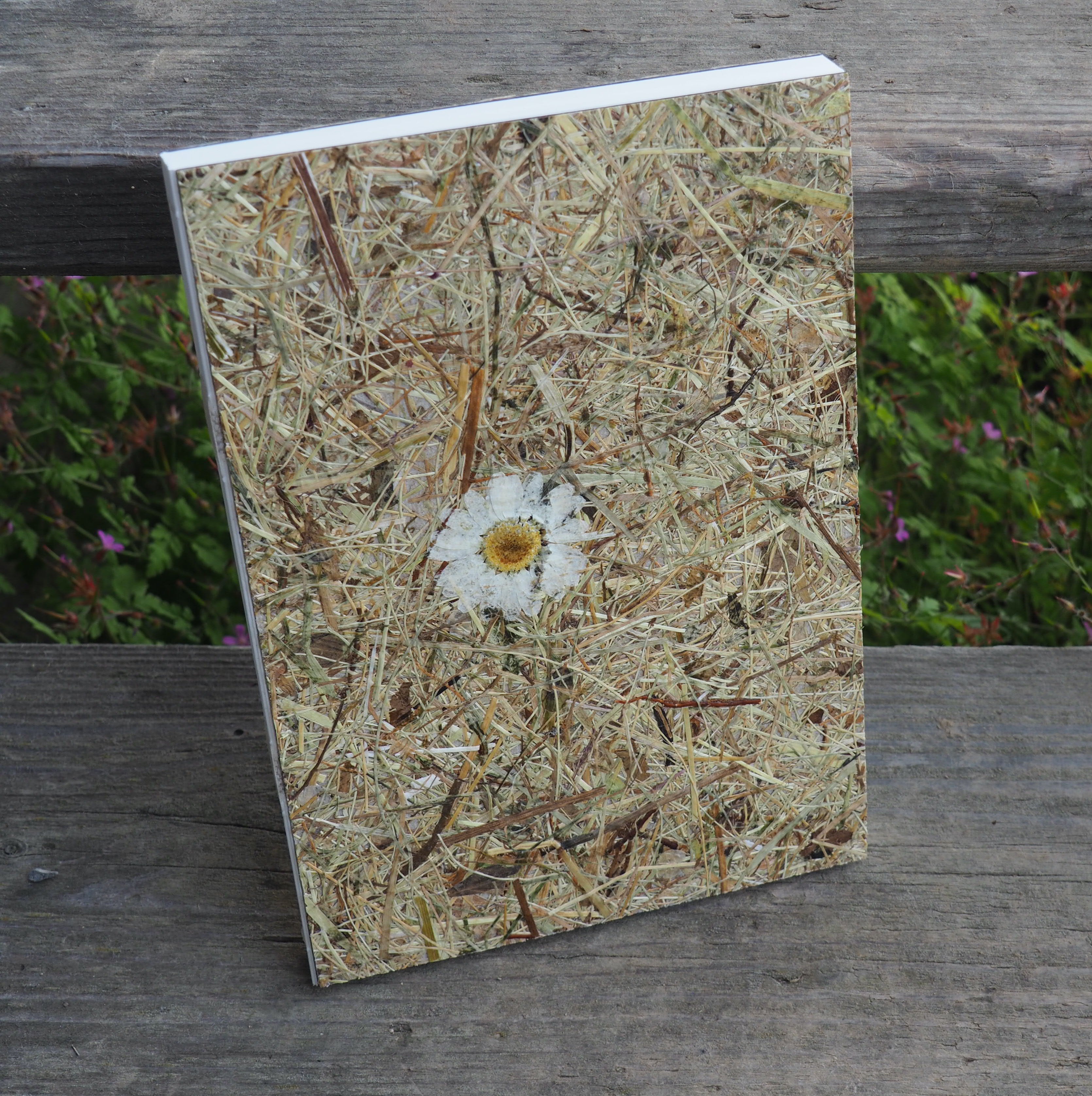 Notiz und Skizzenbuch mit echter Natur-Oberfläche & offene Fadenheftung