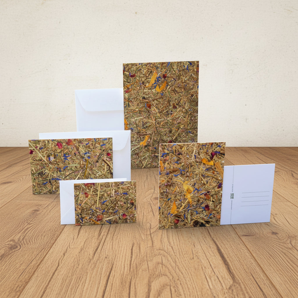 Grusskarten mit Kuvert A5, A6, A7 aus Naturmaterialien von Organoids Design Bergwiese