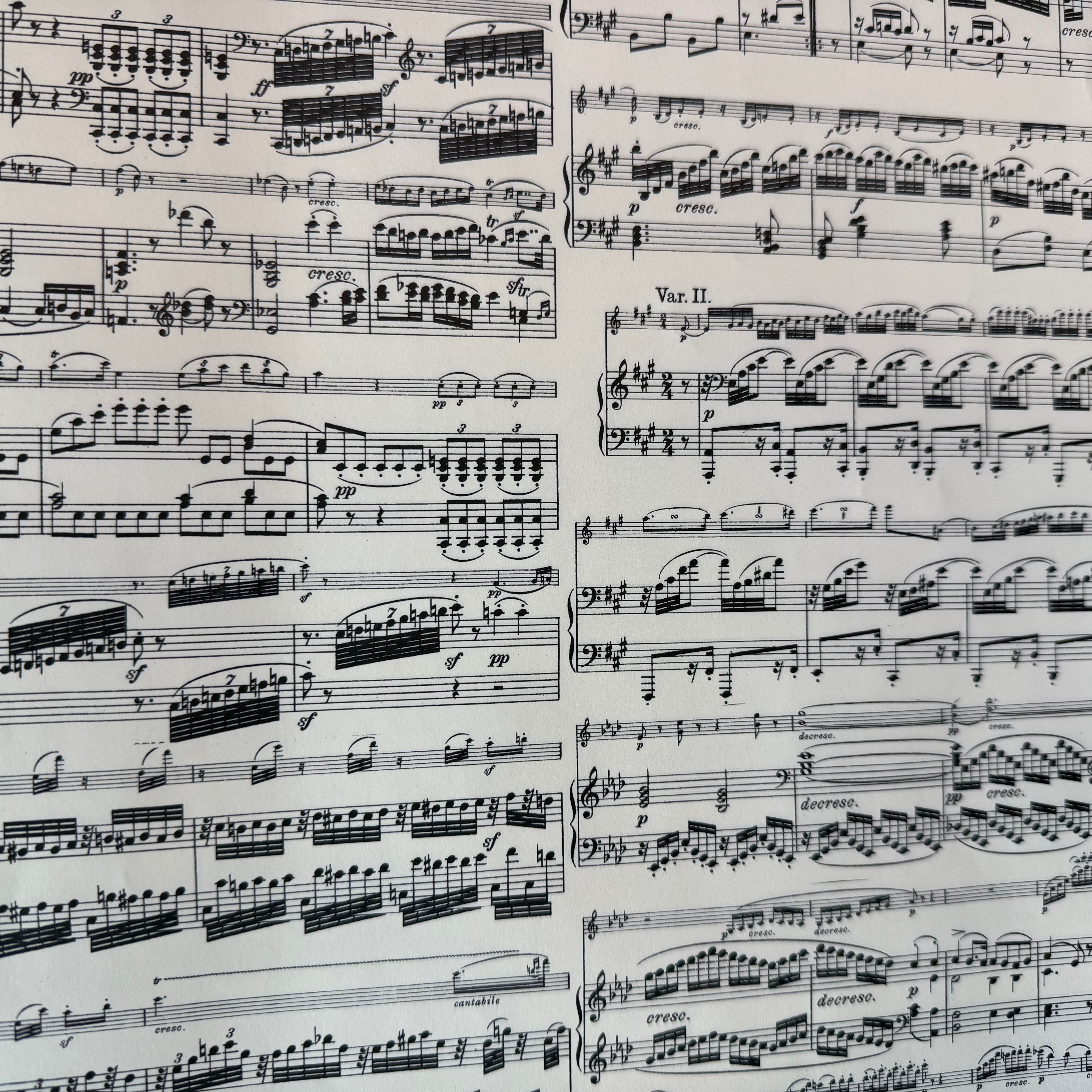 Geschenkpapier Papeteria Design Musiknoten Beethoven schwarz   